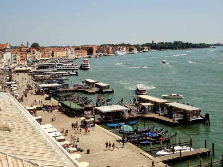 Delfint láttak a velencei Canal Grande-ban